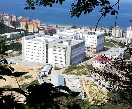 TOKİ Rize, Trabzon, Gümüşhane, Giresun, Ordu and Sivas Provinces 1460 Housing Units, 200-Bed Hospital, 25-Bed Hospital, Trade Center, Buffet, Mosque, High School with 16 Classrooms, Primary School with 32 Classrooms, Pension for 200 Persons, Stadium with 25000 Persons and Service Construction Phase and Post-Construction Consultancy Services of the Building Constructions and Infrastructure, General Infrastructure and Landscaping Works for the Island